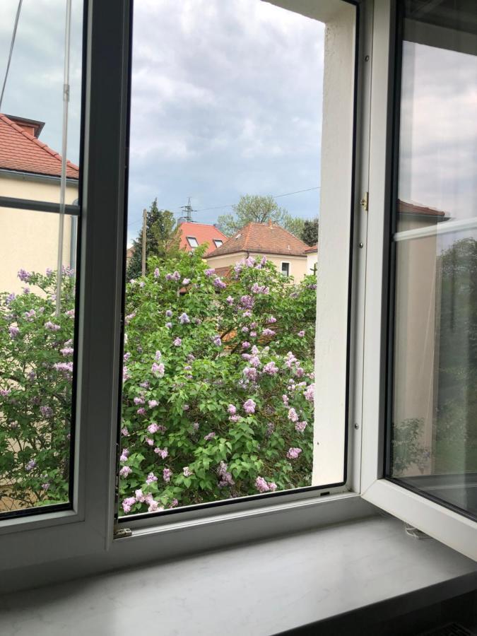 Wohlfuehloase Dresden Nickern Apartment ภายนอก รูปภาพ